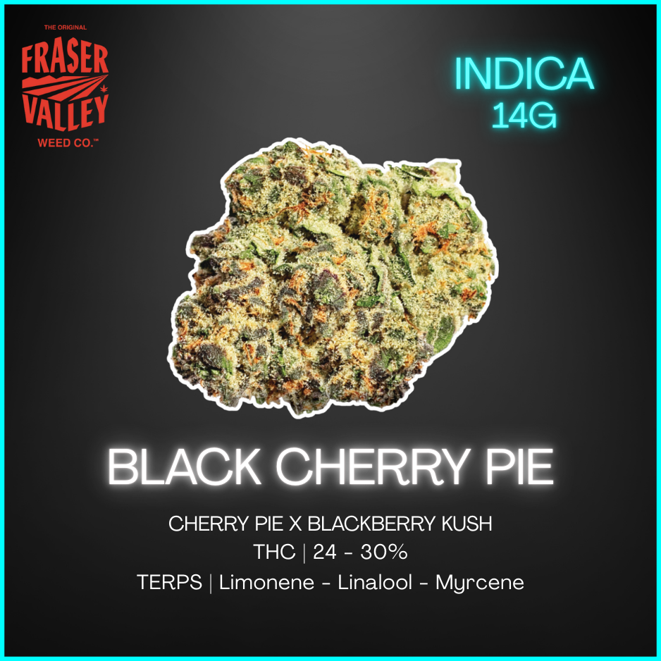 The Original Fraser Valley Weed Co. - Black Cherry Pie - 14G