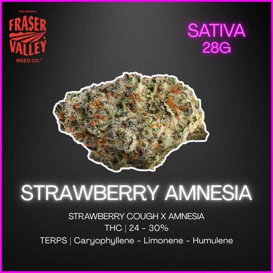 The Original Fraser Valley Weed Co. - Strawberry Amnesia - 28G