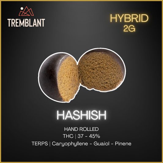 Tremblant Cannabis - Hashish - 2G