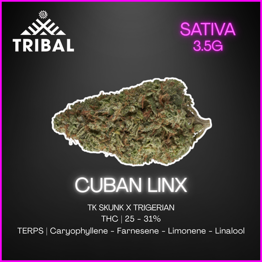 Tribal - Cuban Linx - 3.5G