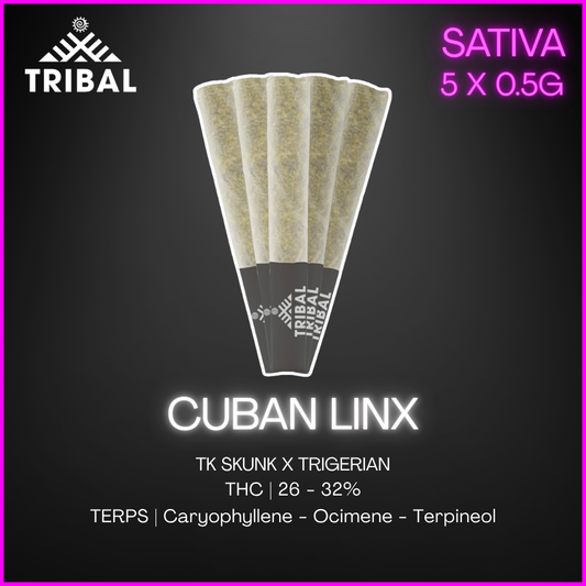 Tribal - Cuban Linx Pre-Rolls - 2.5G
