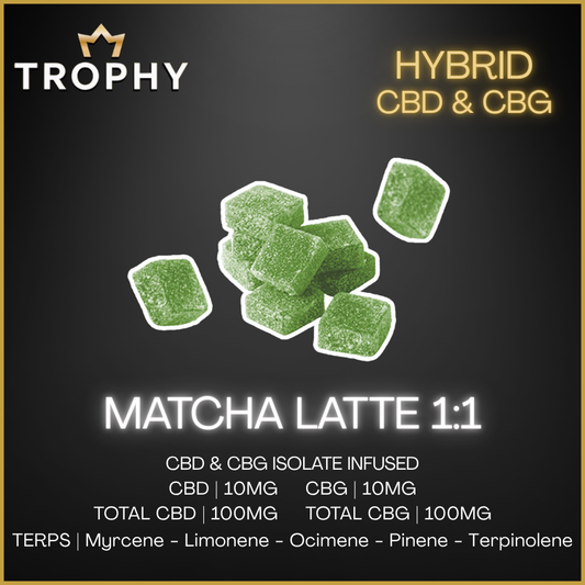 Trophy - Matcha Latte 1:1 Cbd:Cbg Fast Acting Gummies - 40G