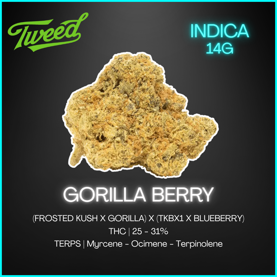 Tweed - Tweed Gorilla Berry - 14G