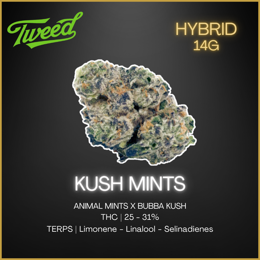 Tweed - Tweed Kush Mints - 14G