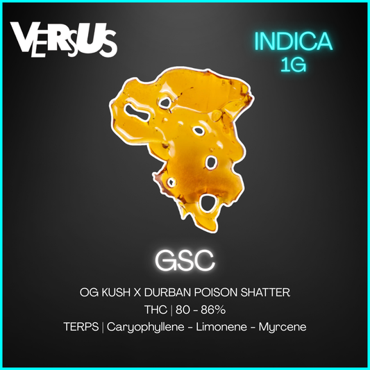 Versus - Gsc Shatter - 1G