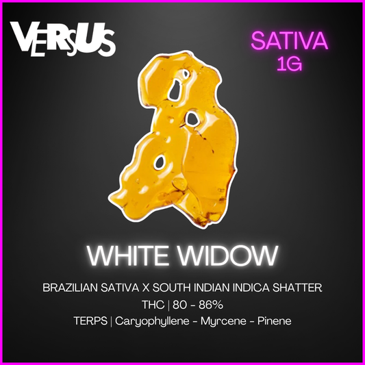 Versus - White Widow Shatter - 1G