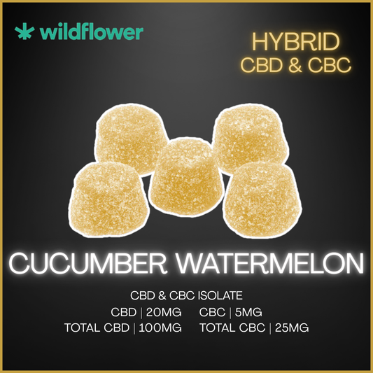 Wildflower - Daily Bliss Cucumber Watermelon Cbd+Cbc Gummies - 17.5G