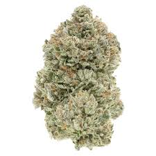 1964 - Organic Stinky Pinky