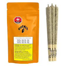 Carmel - Animal Face Pre-Rolls
